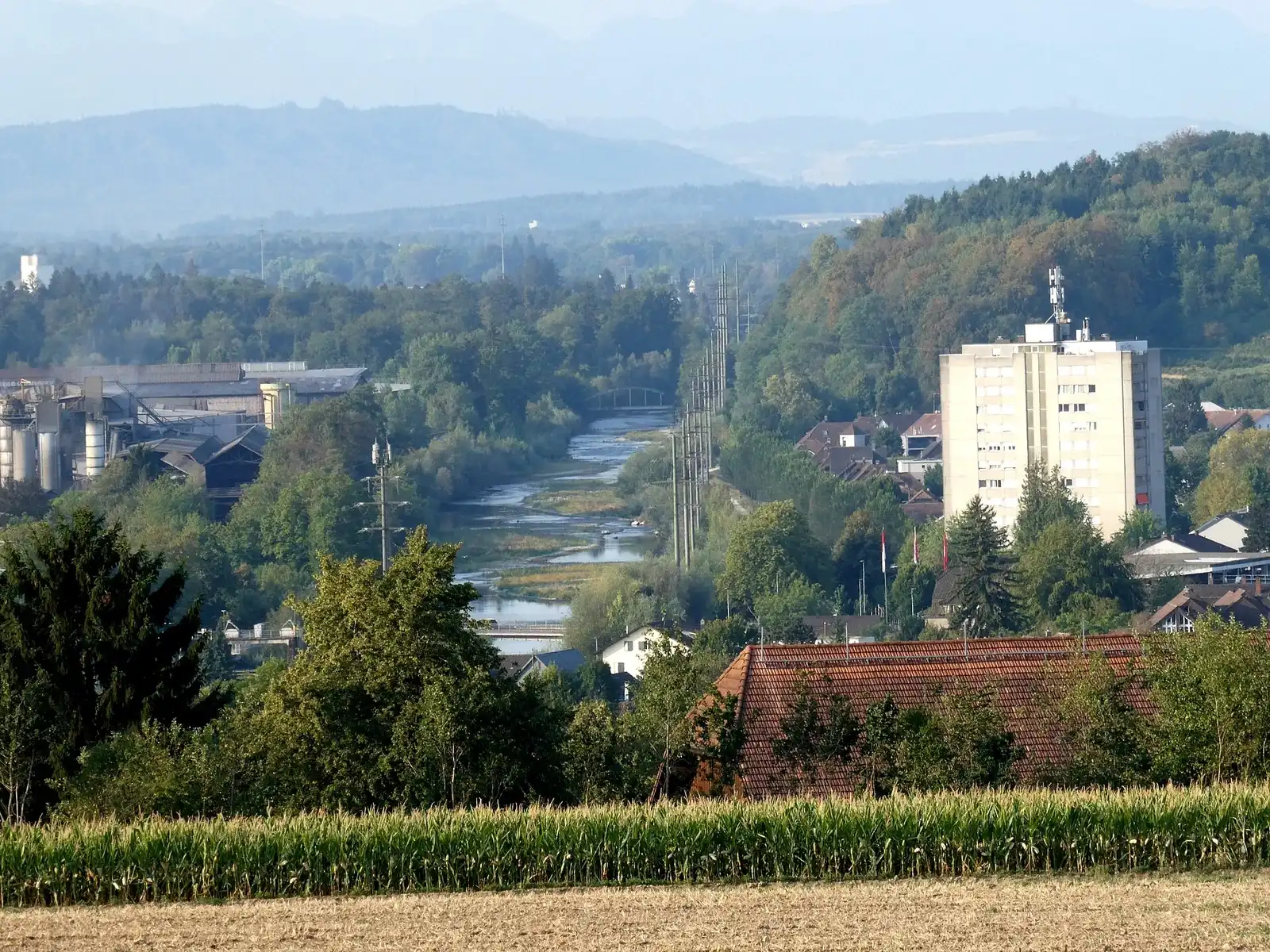Blick auf den Flusslauf der Emme zwischen Häusern und Bäumen in Biberist.